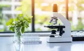 chemistry-Dissertation-Writing-Services